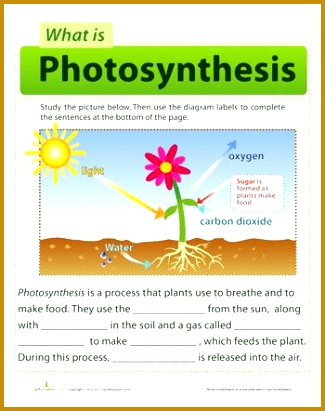 A semi artificial leaf faster than natural photosynthesis Our Future 411325