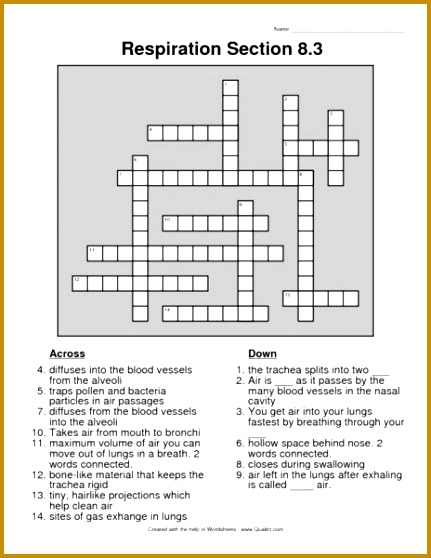 math worksheet photosynthesis and cellular respiration activities middle school synthesis And Cellular Respiration Activities 431558