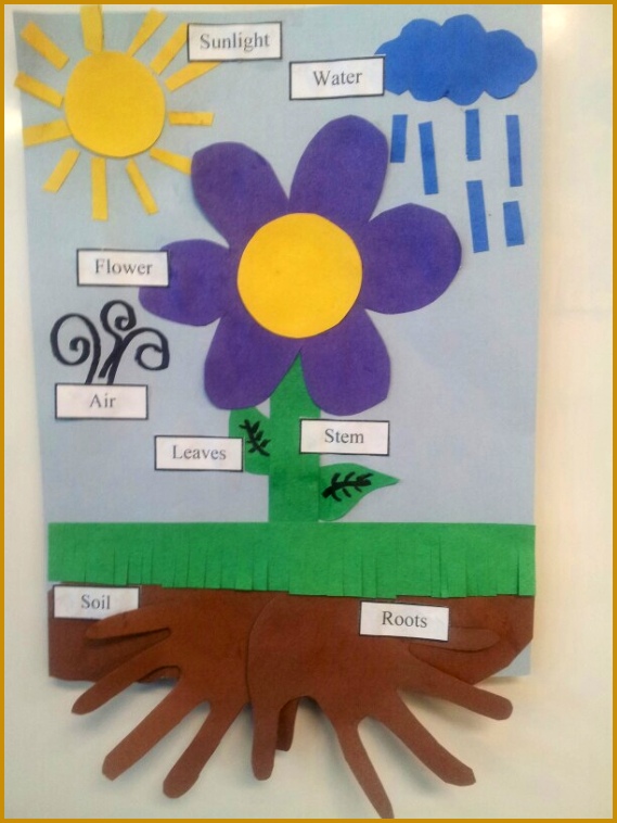 Parts of a Flower 758569
