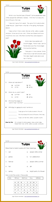 The Paris Love Locks Free line Valentine s Day Reading prehension Worksheet and Questions for 3rd and 4th Grades on desktop tablet and mob… 848219