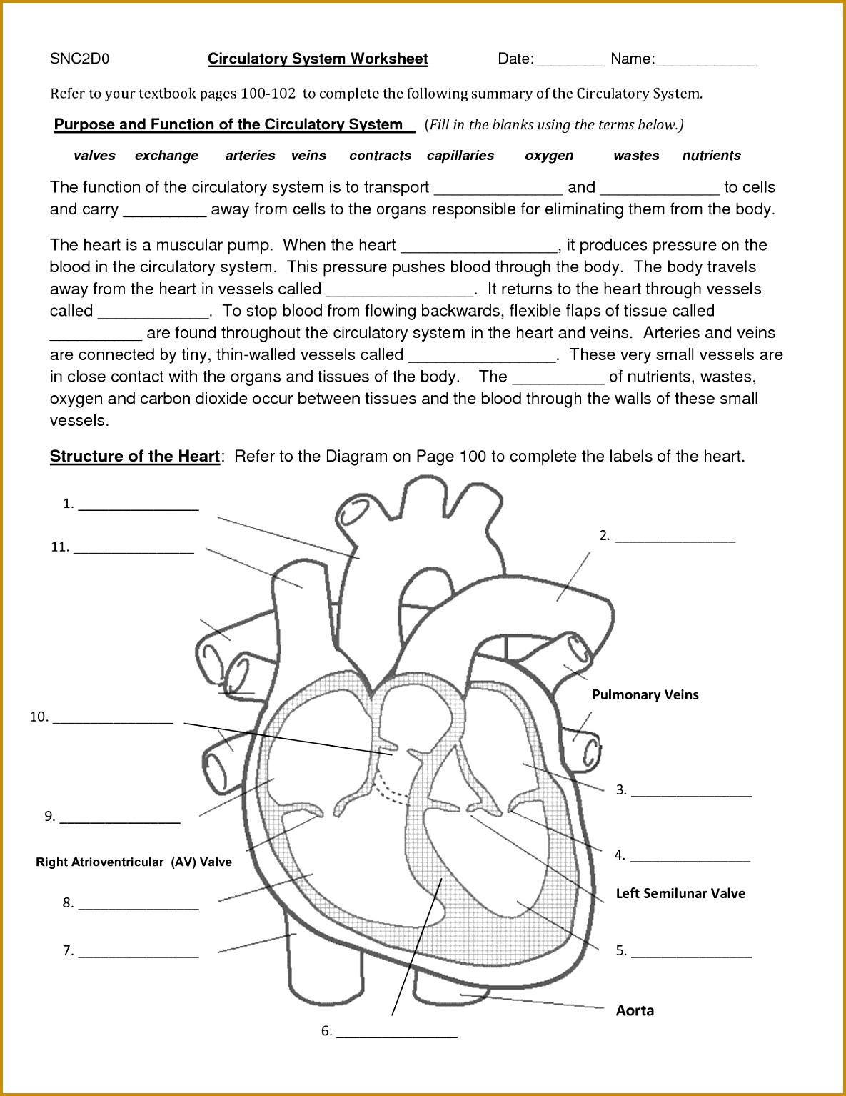 Image result for worksheet on gaseous exchange 15341185