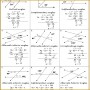 7 Sex Linked Traits Worksheet