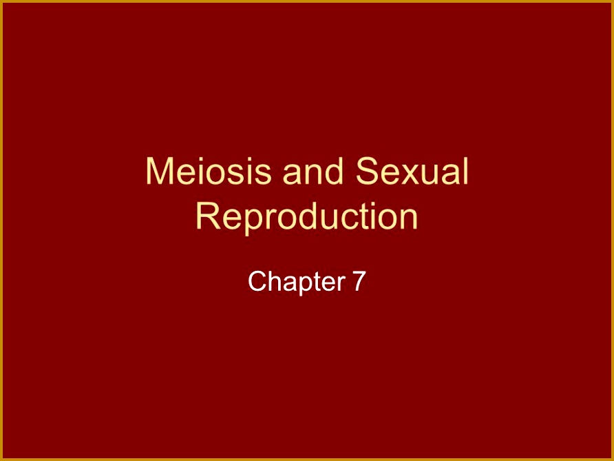Meiosis and ual Reproduction 892669