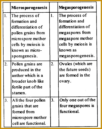 NCERT Solutions For Class 12 Biology ual Reproduction in Flowering Plants 428339