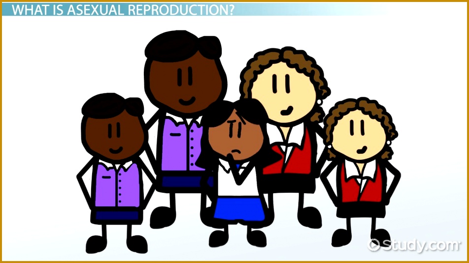 A ual Reproduction Lesson for Kids Video & Lesson Transcript 535952