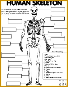 Broken Bones This is showing a different kinds of injuries you can do to a bone I ve chosen this to show that it s not only a fracture or Sprain 278219