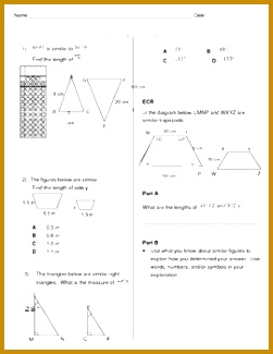 Similar Figures 325251