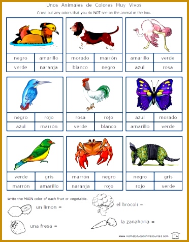 Spanish Color Worksheets for Beginners 476372