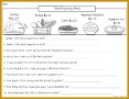 7 Thanksgiving Worksheets