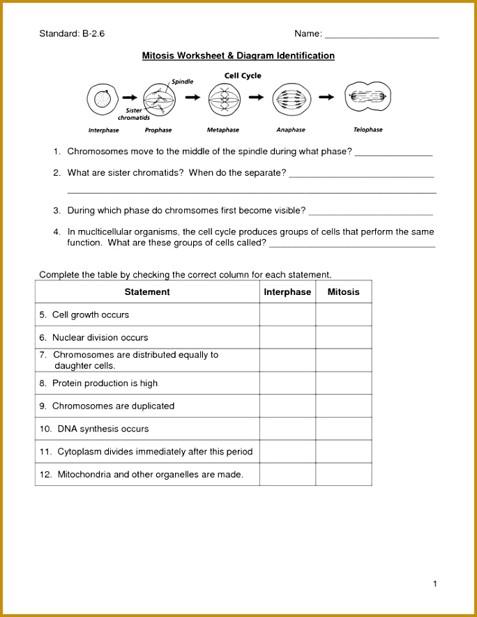 mitosis worksheet 885684