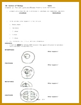 9 Pages Ch 12 WSs Cell Cycle and Mitosis 216167
