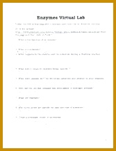 4 pages enzymes virtual lab 217167