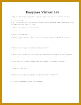 4 pages enzymes virtual lab 217167