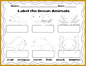 ocean animals labeling worksheet 229297