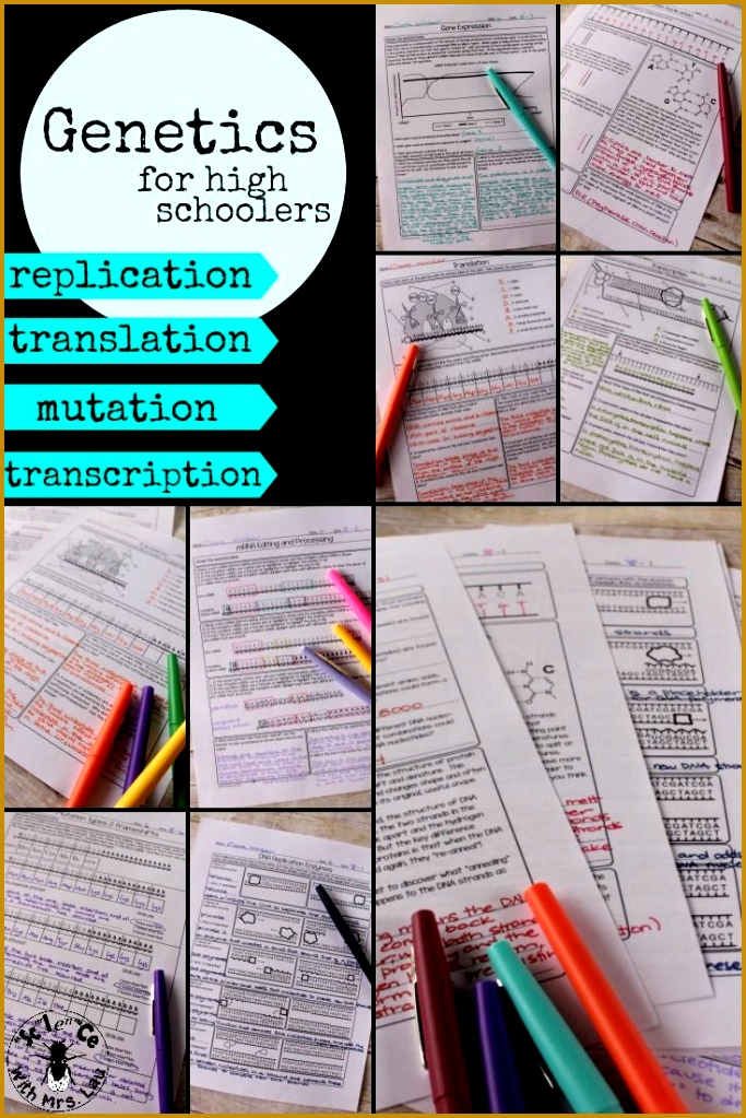 Protein Synthesis Unit Homework Pages 1023683