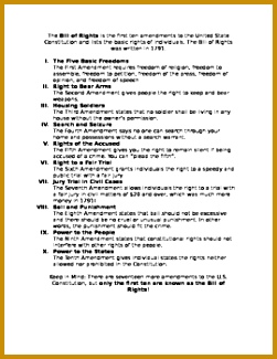 Bill of Rights Summary 325251