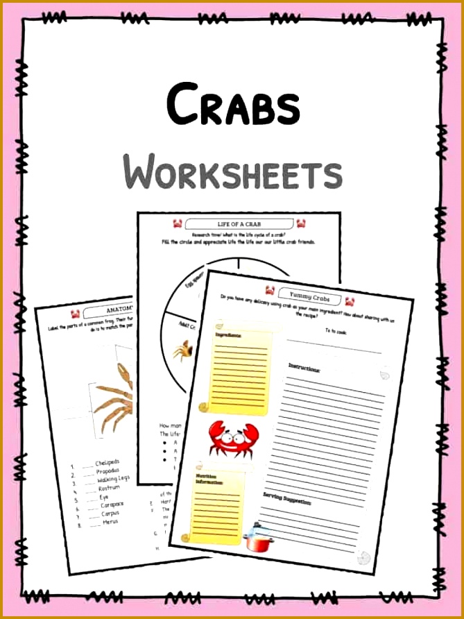 Crabs Worksheet 669892