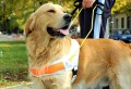 Tenant Pet Keeping Contract