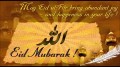 Best Wishes For Life Messages