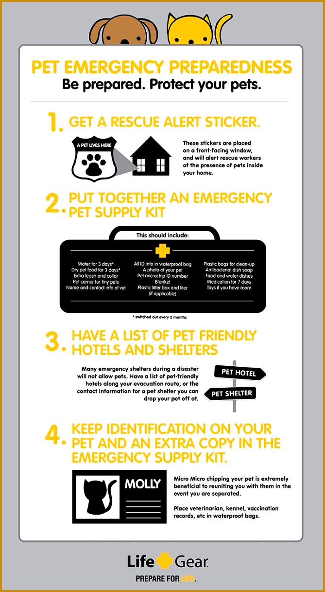 34 best Pet Preparedness images on Pinterest esvlb Pet emergency preparedness tips 1217669