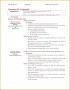 4 Introduction Email to Client Template