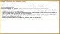 4 Job Offer Letter