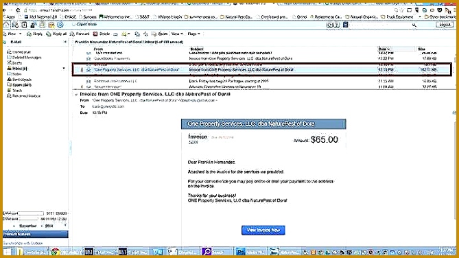 Free Invoices and Template Controls Elegant Pest Control Invoice Pool Services Work order Invoice Pest 669376