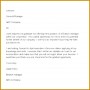 5 Thank You Letter to Boss
