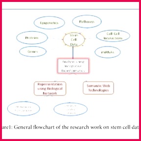 Integrative Bioinformatics Approaches to Analyze Molecular Events in Pluripotency