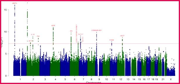 Data are based on GWA meta analysis of all endometriosis cases The horizontal axis shows the chromosomal position and the vertical axis shows the