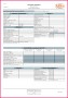 4 Business Financial Statement Template Excel