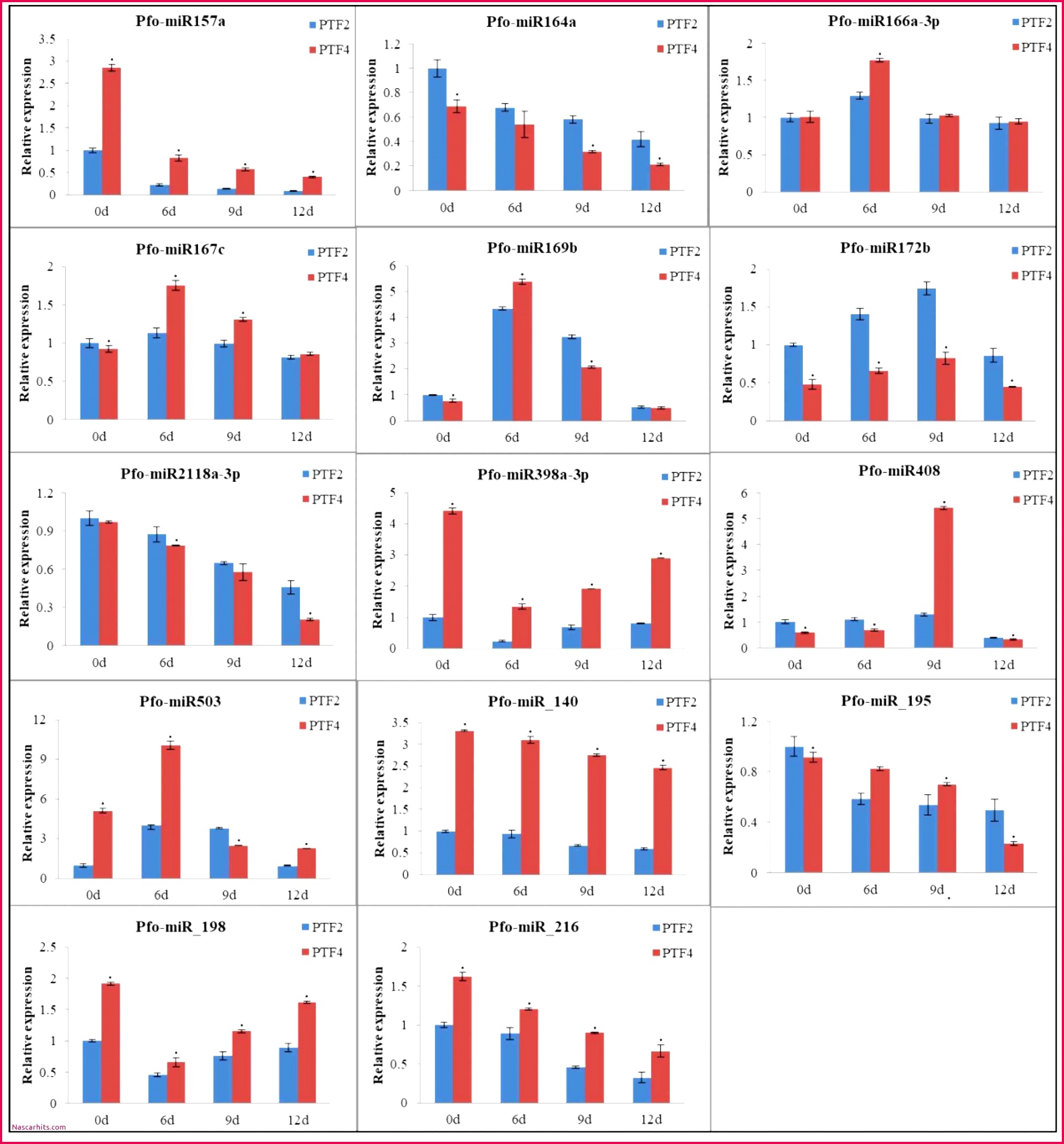 Check Register Template Excel