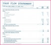 5 Daily Cash Flow Template Free Download