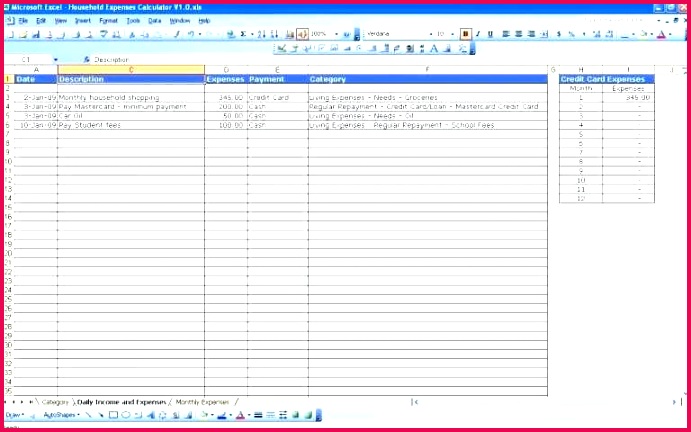 Travel Expense Report Template Examples Excel Expenses Spreadsheet Picture