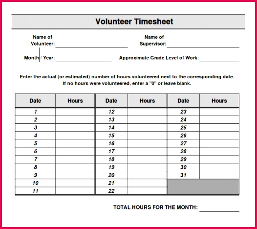 20 New Volunteer Hours Log Template Excel