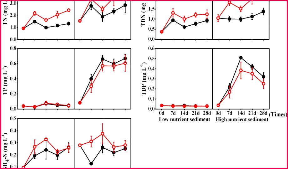Excel Expense Report Template