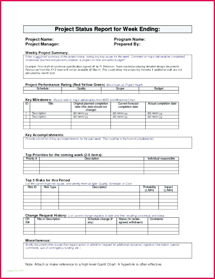 Expense Report Form Adorable Project Expense Report Template Baniocha