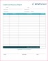 5 Expense Report form Template