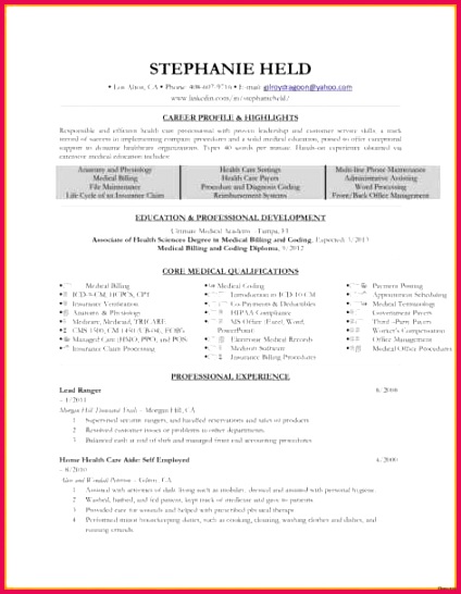 billing statement template model lovely artist statement template