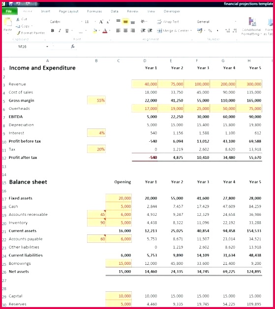 Financial Forecast Template Invitation Template Financial Projections Template Double Entry Bookkeeping Financial Forecast Template Financial Forecast