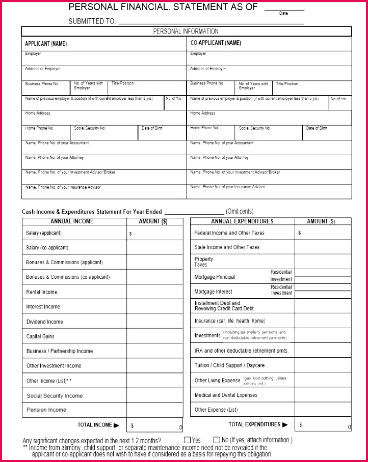 Free Personal Financial Statement Template 15