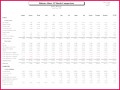6 Monthly Balance Sheet Excel Template