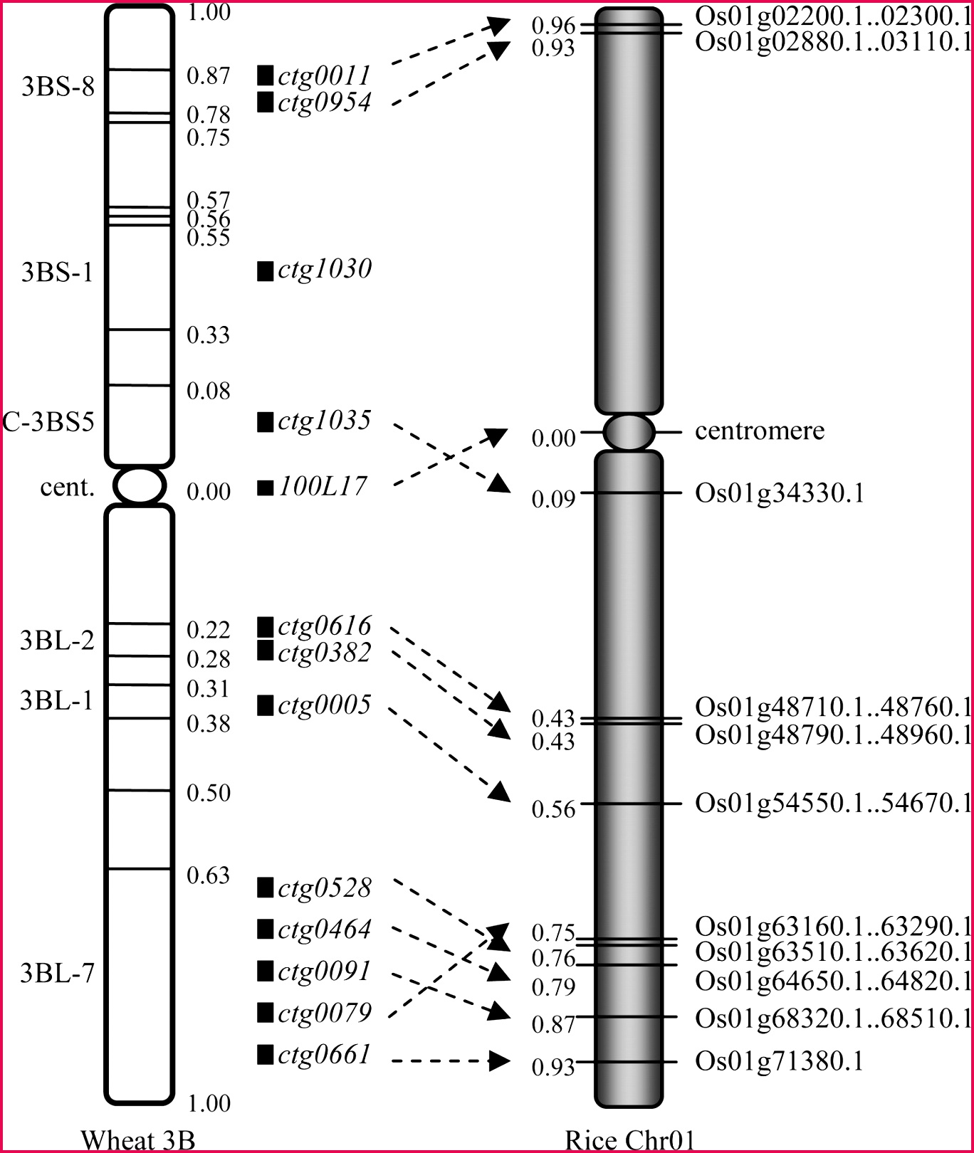 Megabase Level Sequencing Reveals Contrasted Organization and 16201368 Download figure