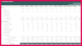 12 Month In e Statement Small