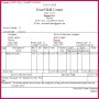 3 Tally Bill format