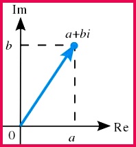 Class 9th maths science group Chapter 2 Exercise 2 1 Notes Solutions and Video Lectures plex