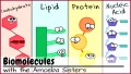 Class 10 Notes Chemistry Biochemistry Notes