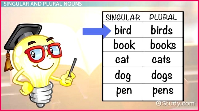 Singular & Plural Nouns Lesson for Kids "