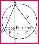 Solution of Triangles Class 11 Notes 131147 Solution of Triangles