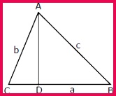 Solution of Triangles Class 11 Notes 137166 Solution of Triangles
